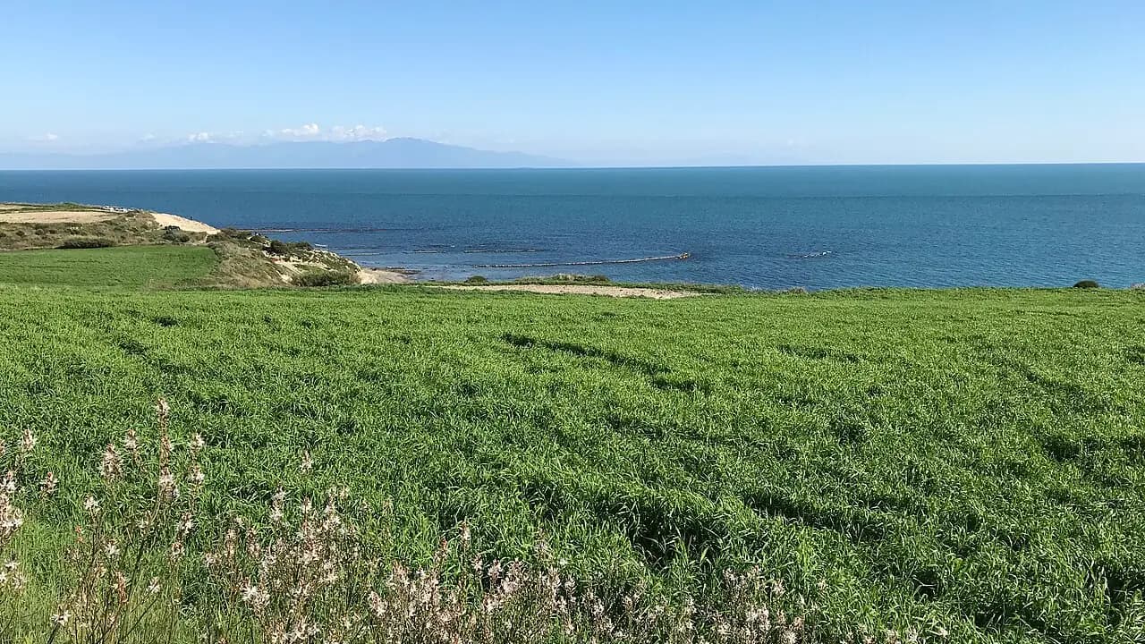 مدينة ماغارسوس القديمة