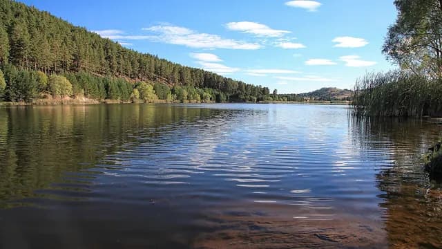 Çamkoru Nature Park
