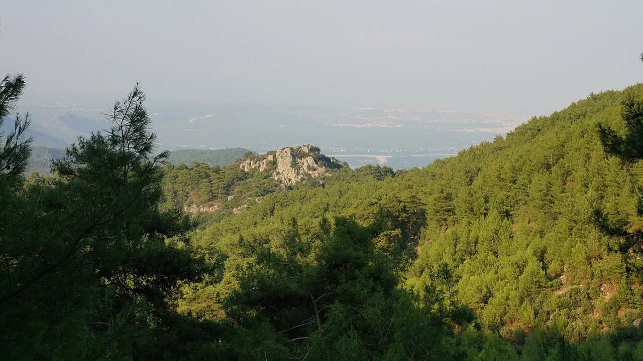 مدينة تريبينا القديمة