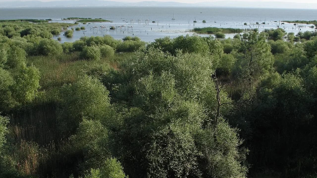Kuşcenneti Milli Parkı