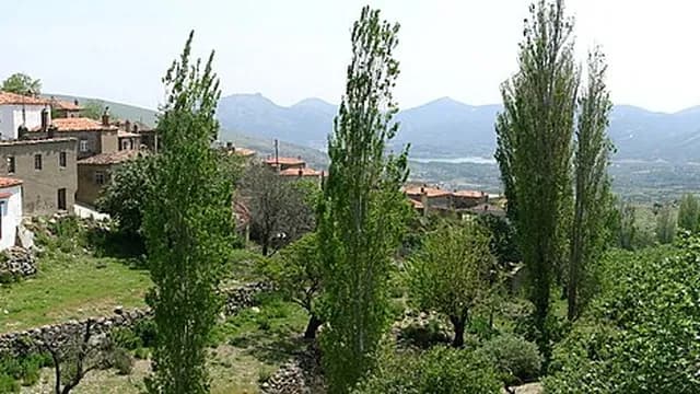 Tepeköy (Agridia)