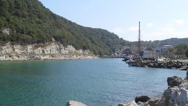 Ağva
