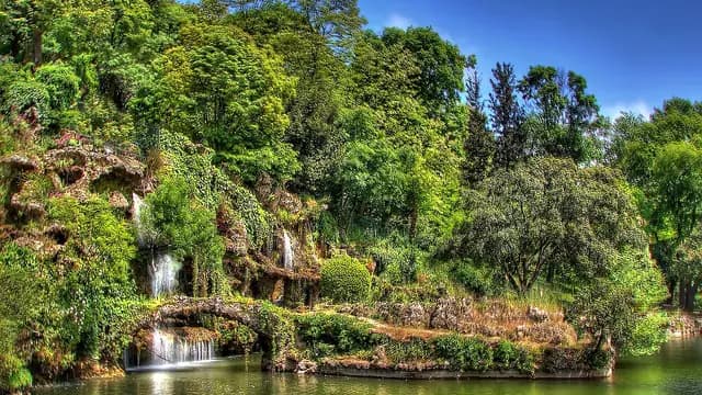 Emirgan Grove
