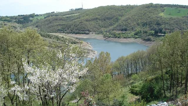 Ömerli Dam