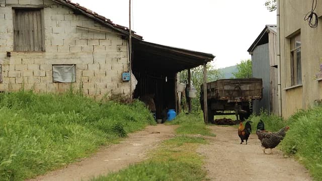Polonezköy