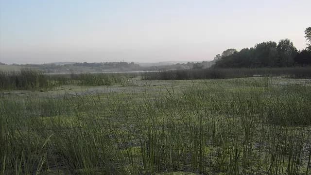 Lake Terkos (Durusu)
