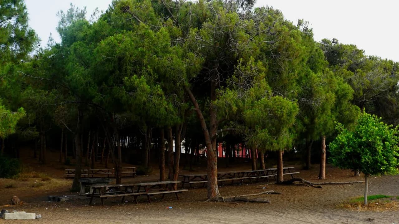 منتزه ومخيم غوموش قوم (الذكرى المئوية)