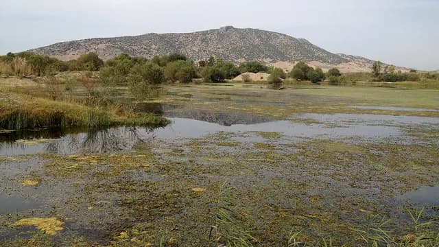 جنة الطيور في قيرميتلي