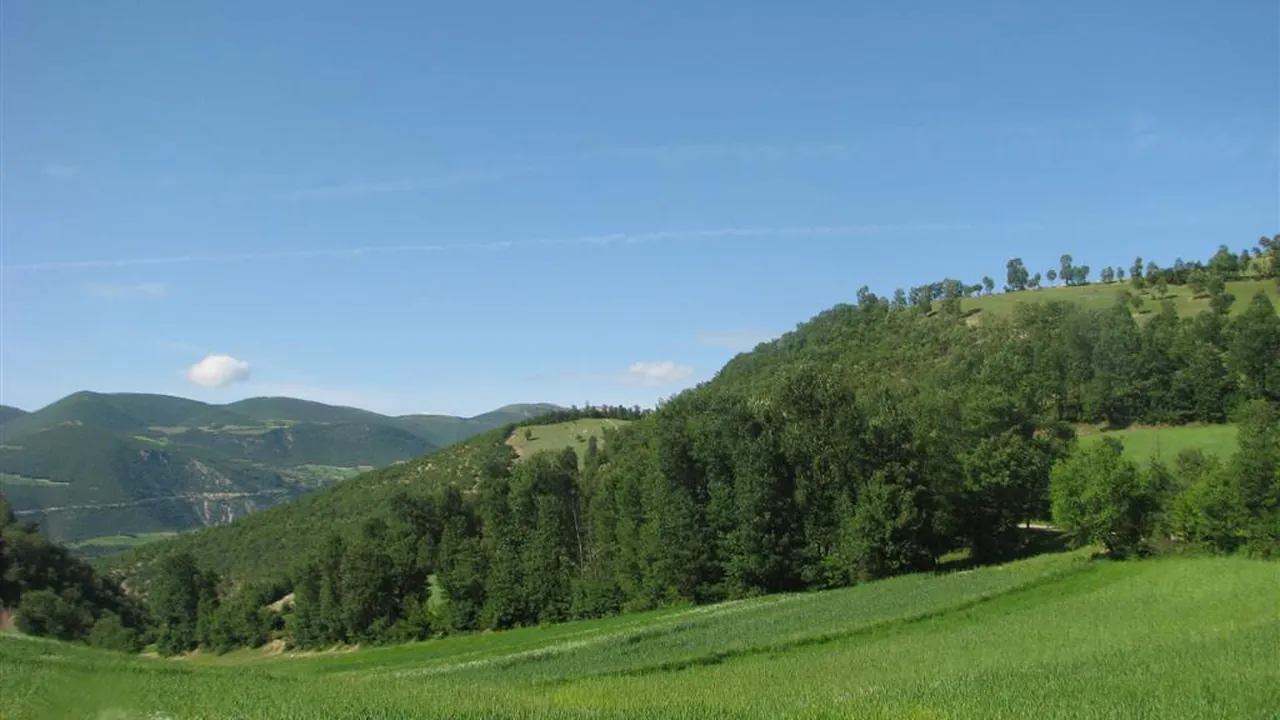 Çamiçi-Hochalm (Çamiçi Yaylası)
